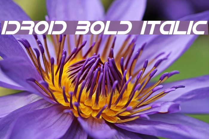 IDroid Bold Italic Font examples