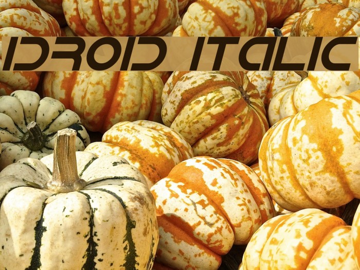IDroid Italic Font examples