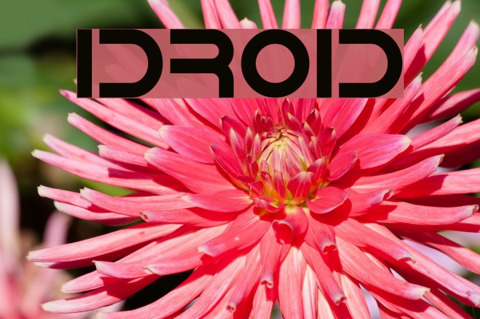 IDroid Font examples