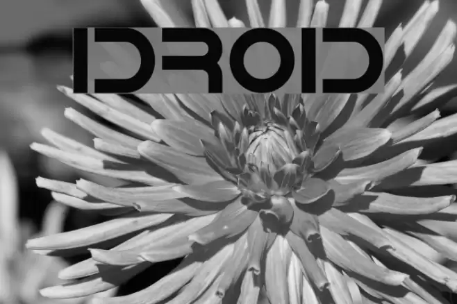 IDroid Caratteri examples