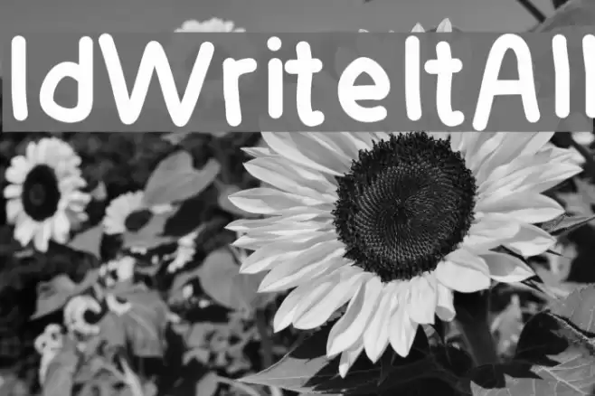 IdWriteItAll Font examples