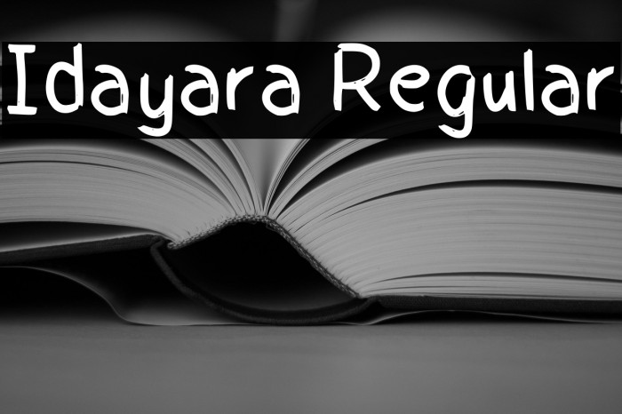Idayara Regular Example 1