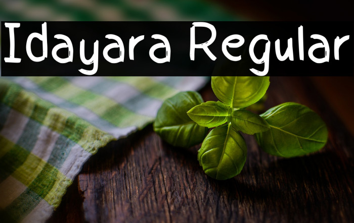 Idayara Regular Example 2