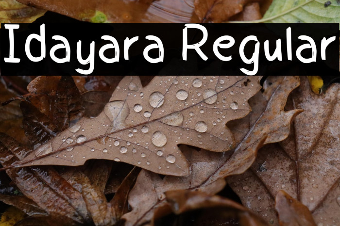 Idayara Regular Example 3