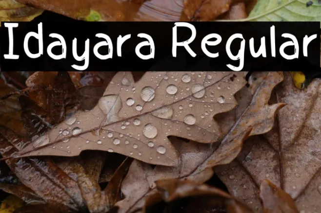Idayara Regular Example 3