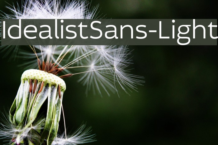 IdealistSans-Light Font examples