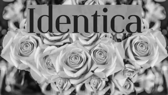 Identica Font examples