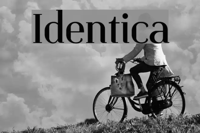 Identica Font examples