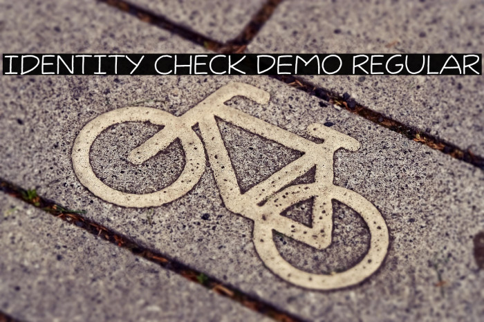 Identity Check DEMO Regular Example 2
