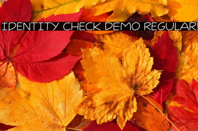 Identity Check DEMO Regular Example 3