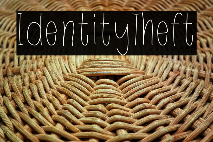 IdentityTheft Example 1