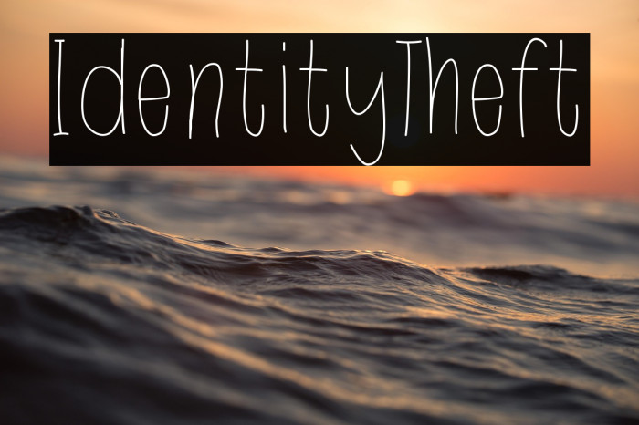 IdentityTheft Example 2