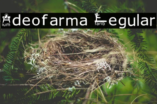 Ideofarma Regular Example 2