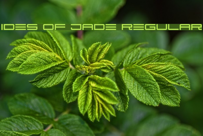 Ides of Jade Regular Example 3