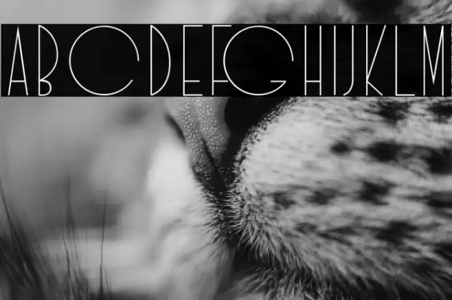 Idilica Font examples