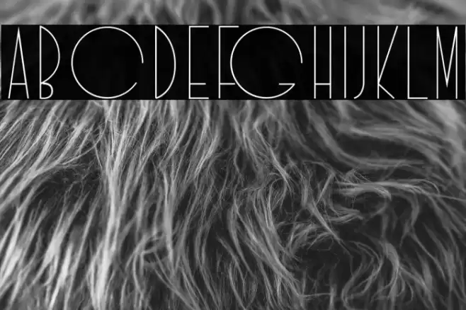 Idilica Font examples