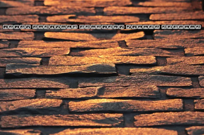 Idiot Capitals Gradient Filled Regular Example 3