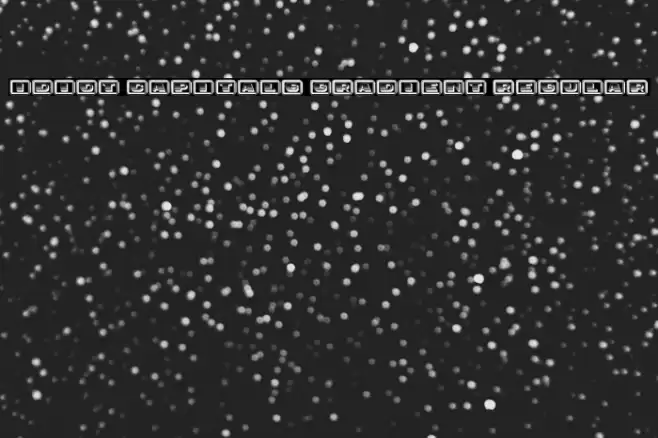 Idiot Capitals Gradient Regular Font examples