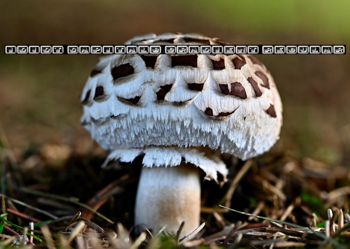 Idiot Capitals Gradient Regular Example 3