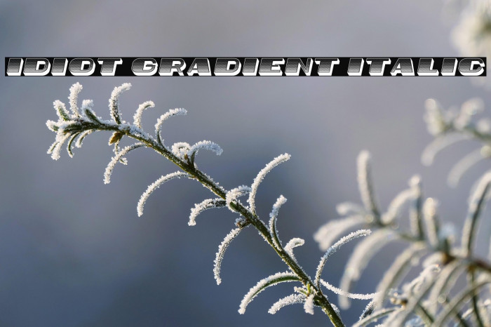 Idiot Gradient Italic Example 1