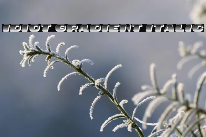 Idiot Gradient Italic Example 1