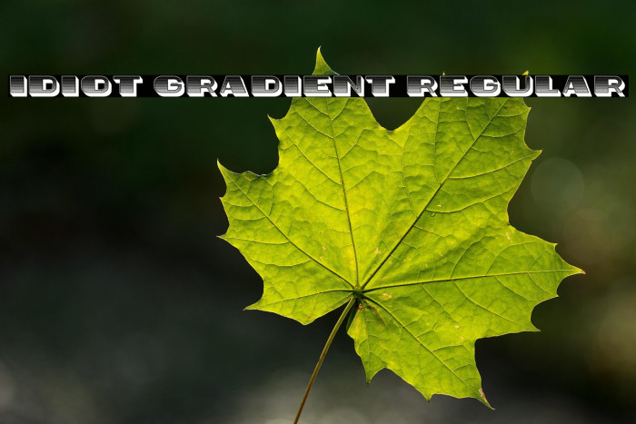 Idiot Gradient Regular Example 3