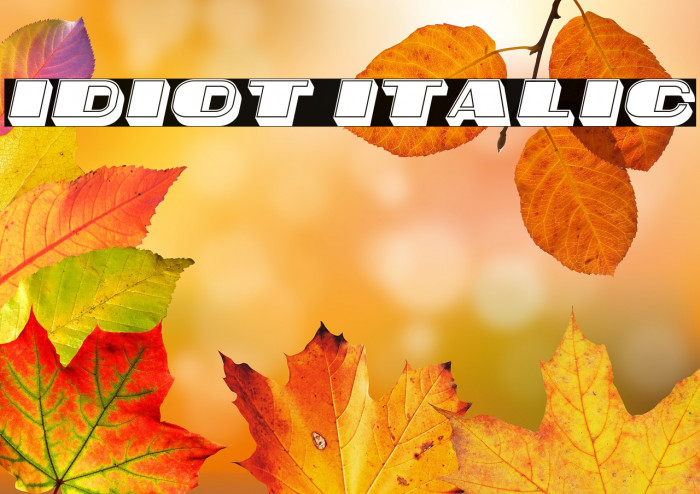 Idiot Italic Example 2