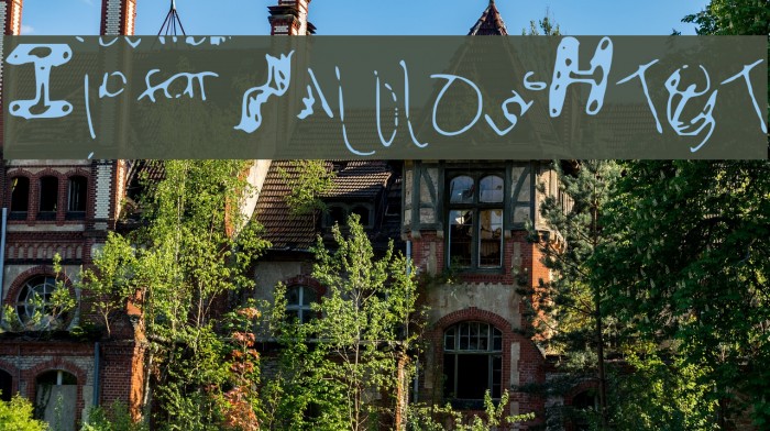 IdiotWasHere Example 1