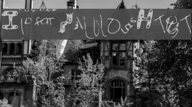 IdiotWasHere Font examples