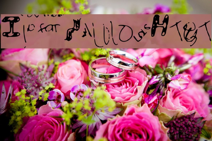 IdiotWasHere Example 2