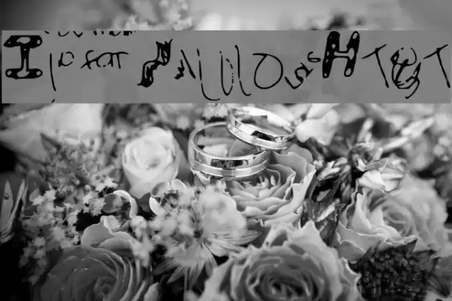 IdiotWasHere Font examples