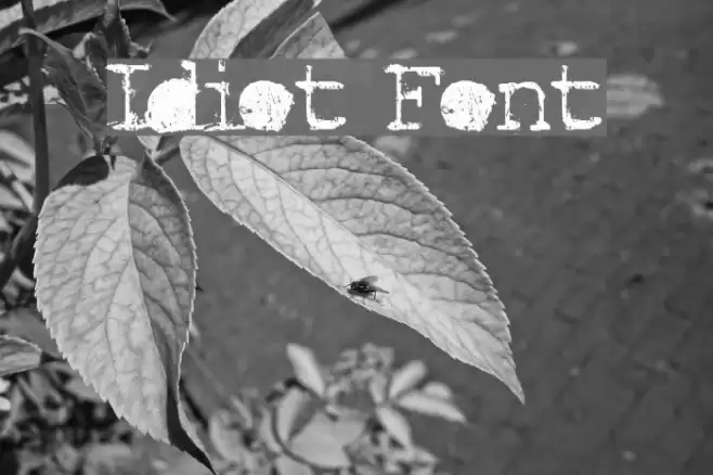 Idiot Font examples