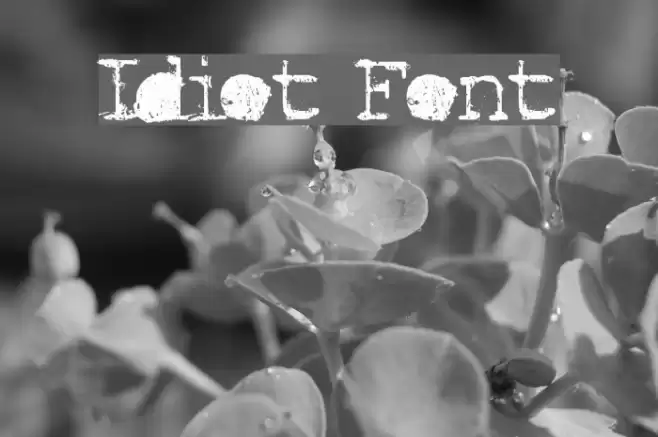 Idiot Font examples