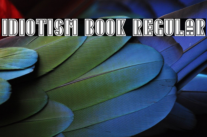 Idiotism Book Regular Example 1