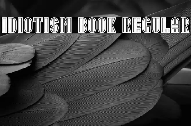 Idiotism Book Regular Font examples