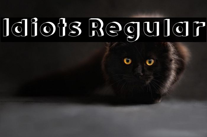 Idiots Regular Example 3