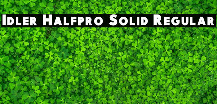 Idler Halfpro Solid Regular Example 1