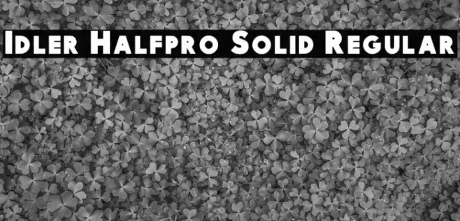 Idler Halfpro Solid Regular Schriftart examples