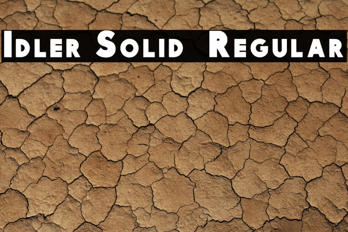 Idler Solid 15 Regular Font examples