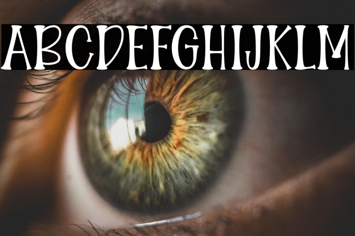 IdolaMarito Example 3