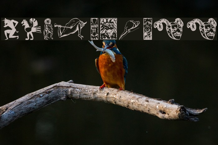 IdolsThree Example 1