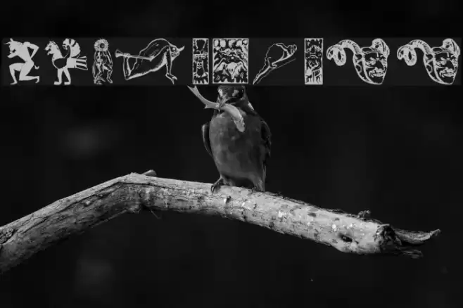 IdolsThree Font examples