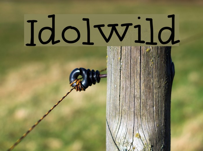 Idolwild Font examples