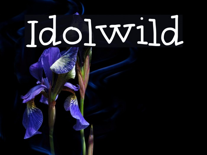 Idolwild Font examples