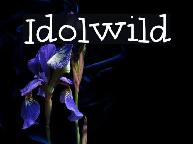 Idolwild Example 2