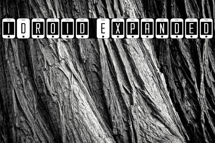 iDroid Expanded Example 2