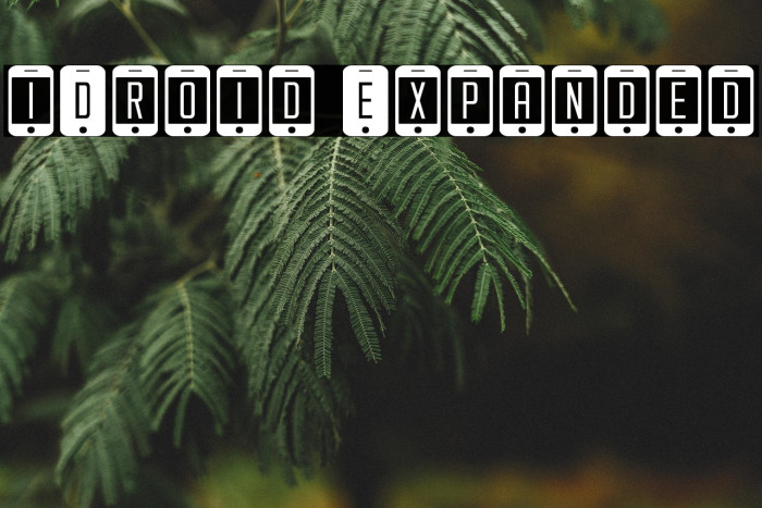 iDroid Expanded Example 3