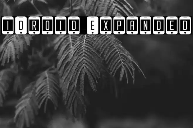 iDroid Expanded Font examples