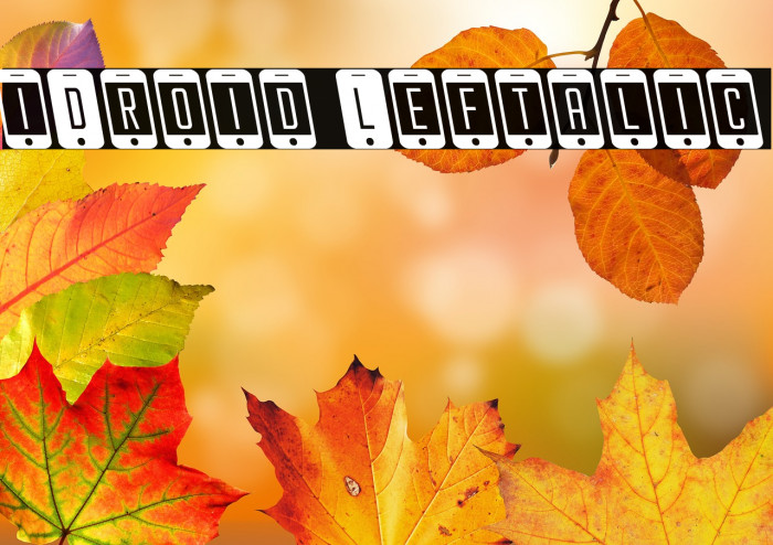 iDroid Leftalic Example 1