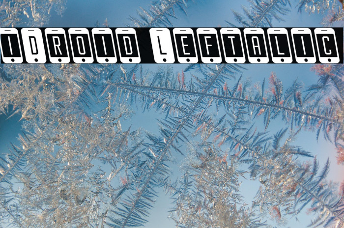 iDroid Leftalic Example 2